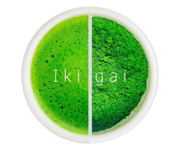 Японский чай матча Matchati Ikigai ж/б 30 г купить