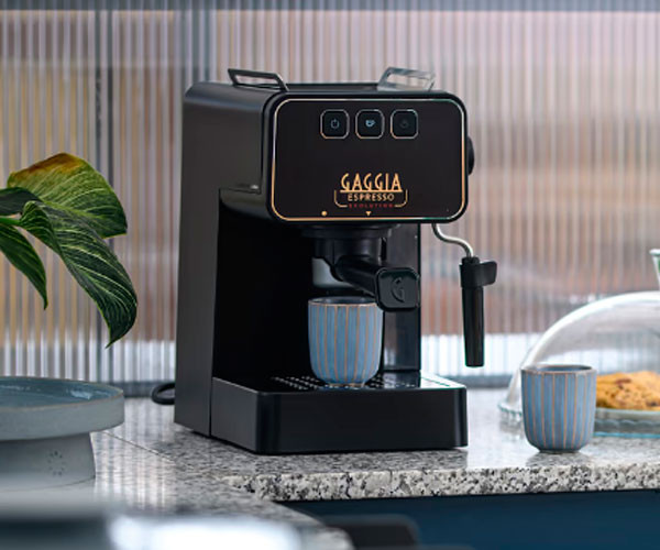 Кофеварка Gaggia Evolution Espresso black EG2115/01 купить