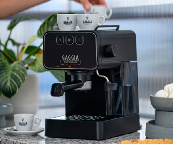 Кофеварка Gaggia Evolution Espresso black EG2115/01 фото