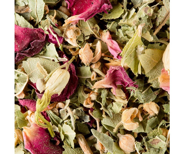 Травяной чай Dammann Freres Бали в пакетиках 25 шт - фото-2