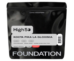 Кофе High5 Costa Rica La Gloxinia espresso в зернах 250 г