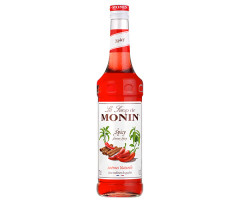 Сироп Monin Пряный Острый 0,7 л - фото-1