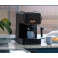 Кофеварка Gaggia Evolution Espresso black EG2115/01 купить