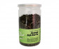 Зеленый чай Tea Genius Бай Хао 100 г